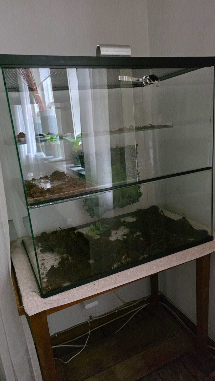 terrarium, Ophalen of Verzenden, Zo goed als nieuw