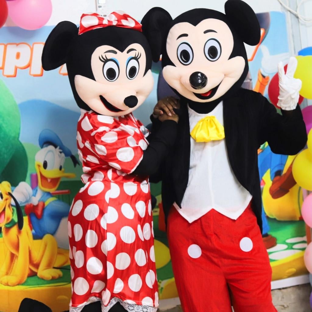 Mini mouse en/of Mickey mouse mascotte, Ophalen, Verjaardag