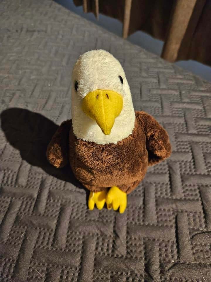 Leuke pluche adelaar knuffel, Ophalen of Verzenden, Zo goed als nieuw, Overige typen, Middelgroot (20 tot 80 cm)