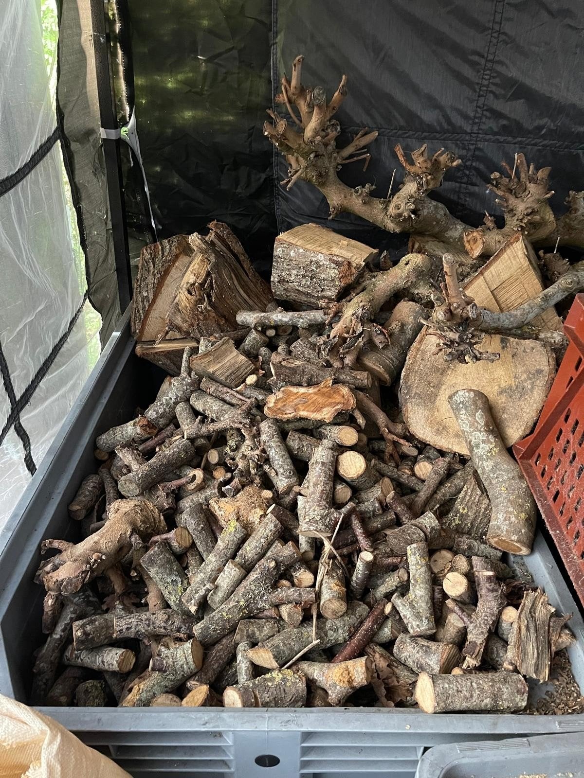 handzaam gedroogd eiken hout (per m³), Minder dan 3 m³, Ophalen