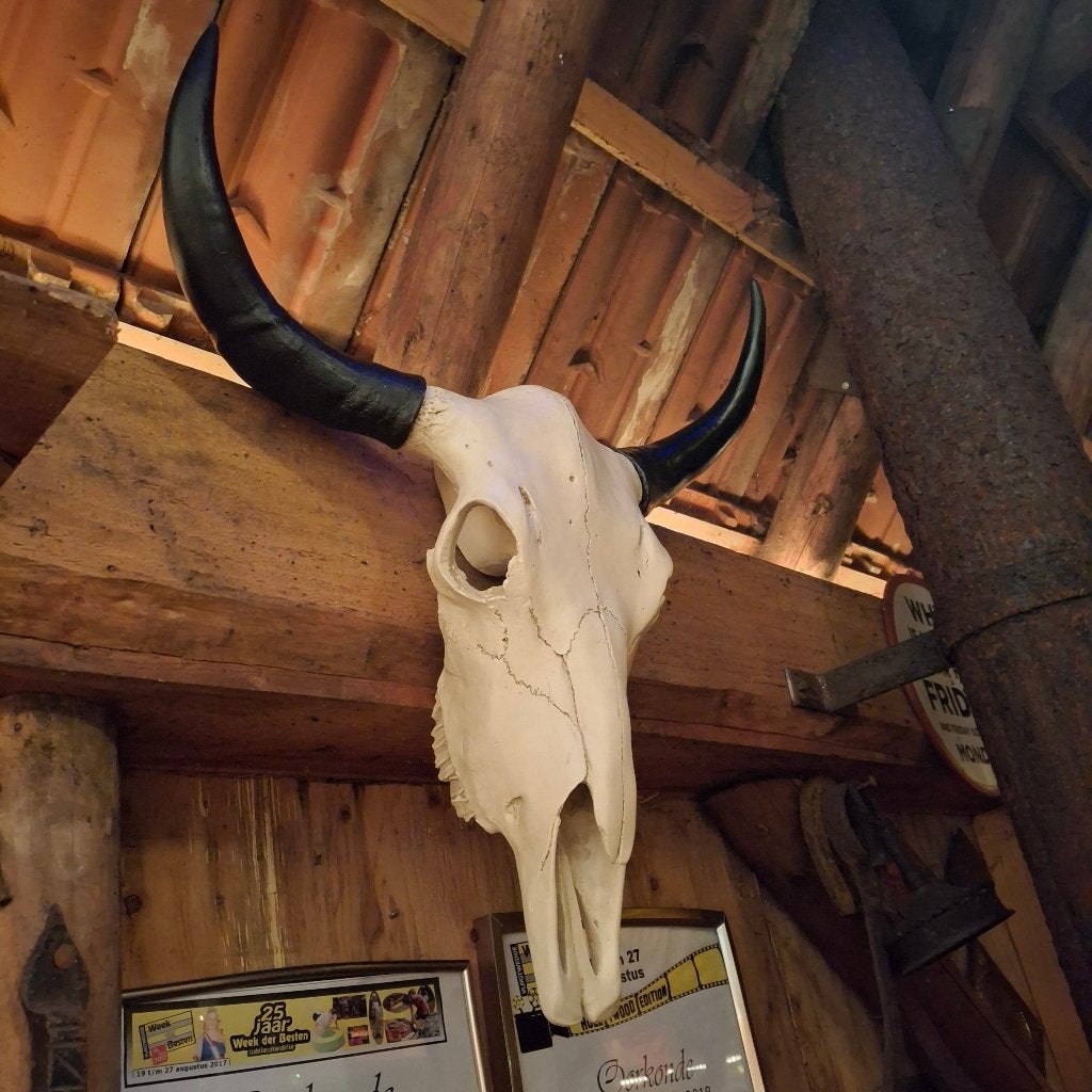 Robuuste schedel van een stier - Imitatie schedels, Verzamelen, Ophalen of Verzenden, Nieuw, Wild dier, Schedel