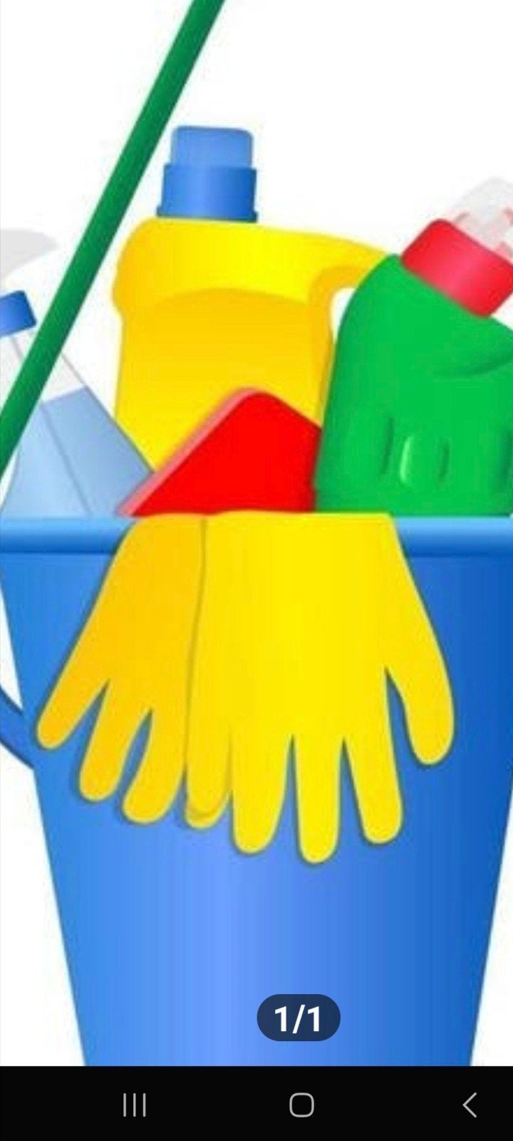 schoonmaakster / huishoudelijkhulp, Vanaf 10 jaar, Overige vormen