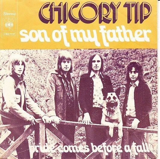 chicory tip - son of my father ( 1972), 7 inch, Single, Ophalen of Verzenden, Pop