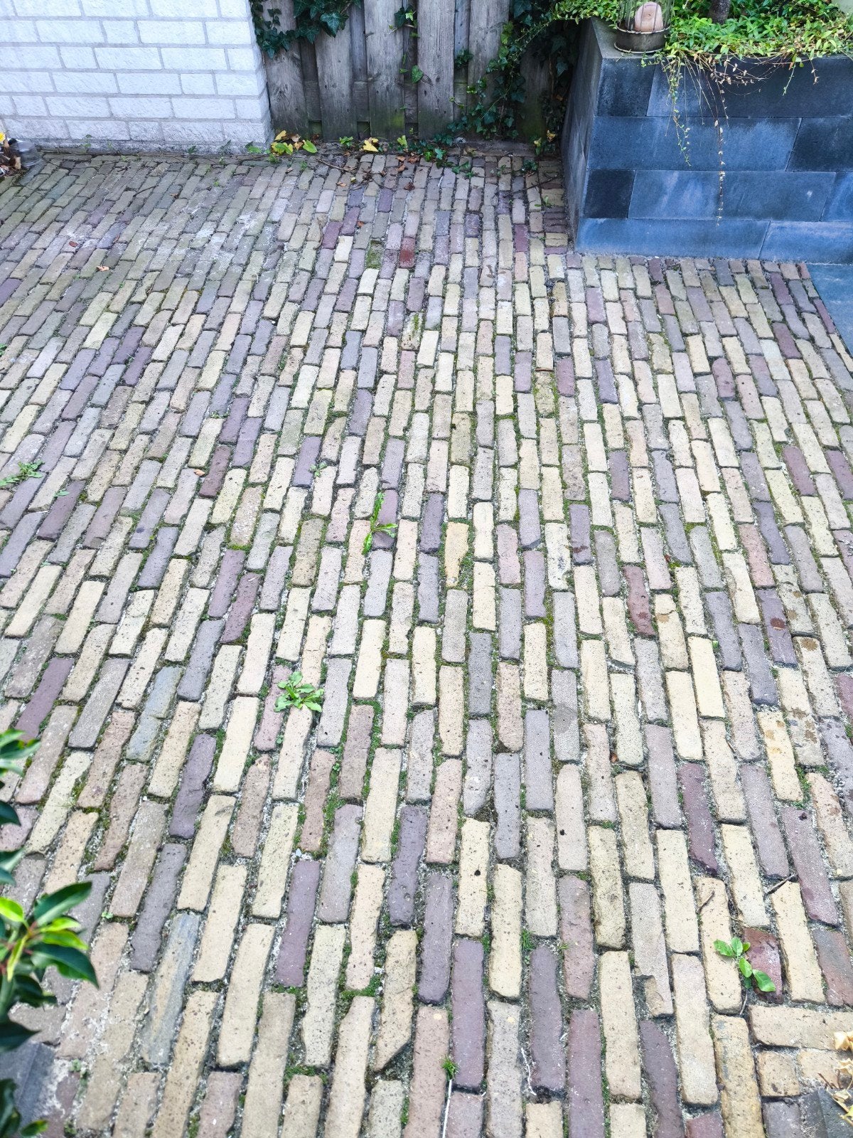 320 hele tegels, 5,5m2 bestrating, Ophalen, Gebruikt, Keramiek, Minder dan 20 cm