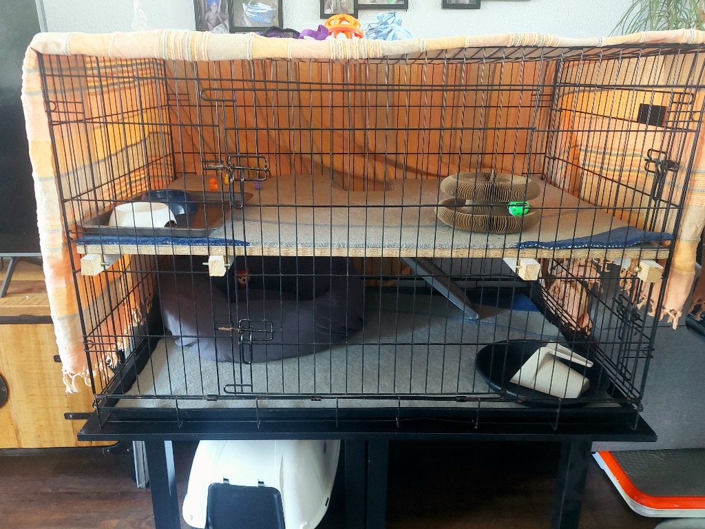 kitten kooi / huisdierenkooi / bench XXL, Dieren en Toebehoren, Kattenmanden, Ophalen, Gebruikt, Overige