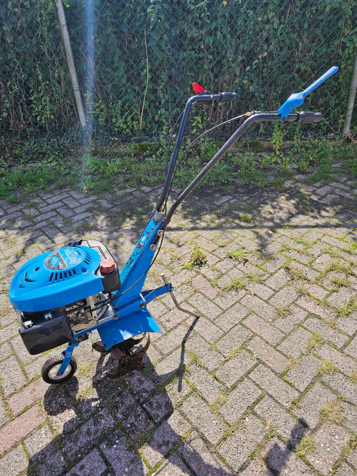 Tuinfrees, Ophalen, Gebruikt, Benzine, Tuinfrees
