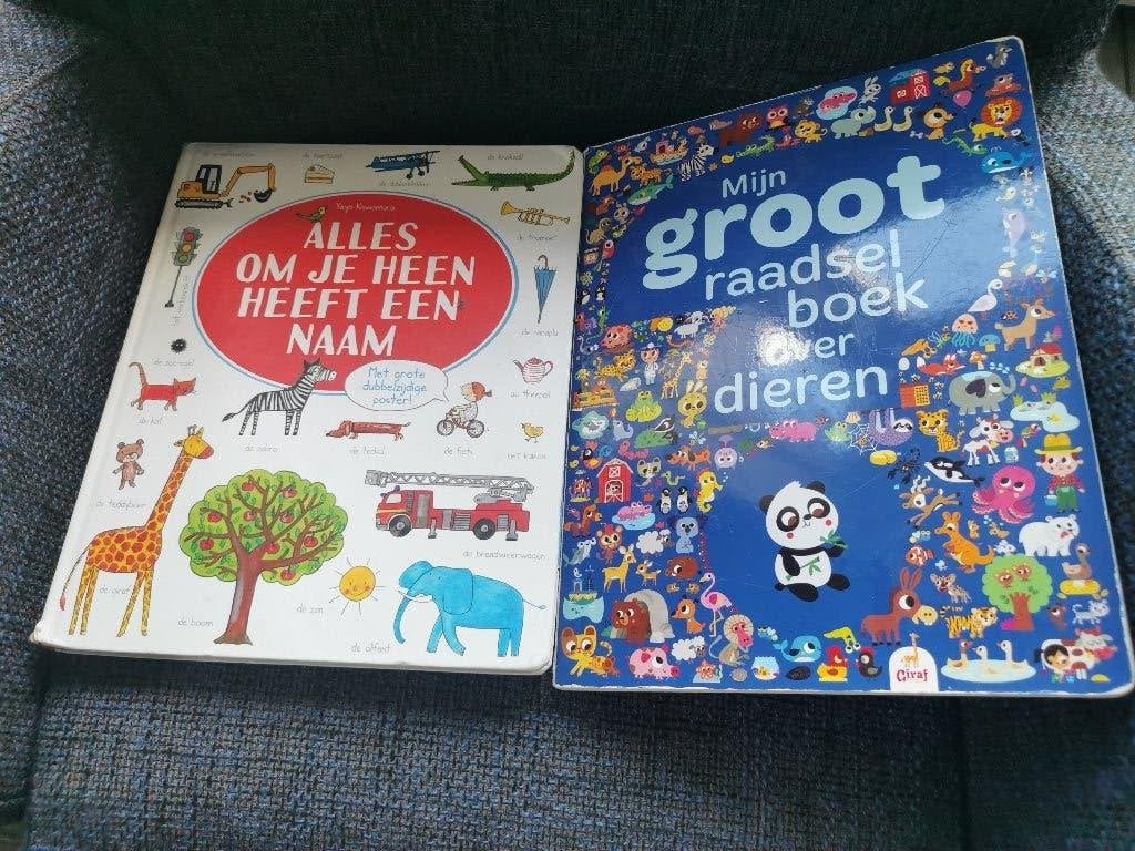 kinderboeken, woorden, begrippen kijken , leren met plaatjes, Non-fictie, Diverse auteurs, Ophalen, Gelezen