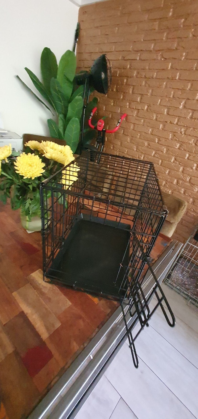 Kleine bench voor kat of pup, Dieren en Toebehoren, Hondenbenches, Ophalen, Zo goed als nieuw
