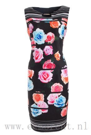 Joseph Ribkoff chique stretch roos/print jurk mt 32/XS, Overige kleuren, Verzenden, ., Joseph Ribkoff