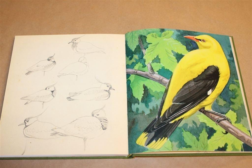 Rein Stuurman — De Vogelschilder van Zien is Kennen!, Ophalen of Verzenden, Zo goed als nieuw