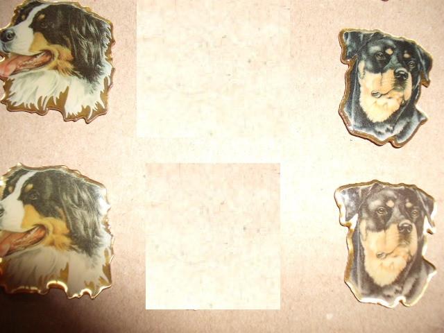 Honden pins berner senner, westi, rottweiler, Ophalen of Verzenden, Zo goed als nieuw