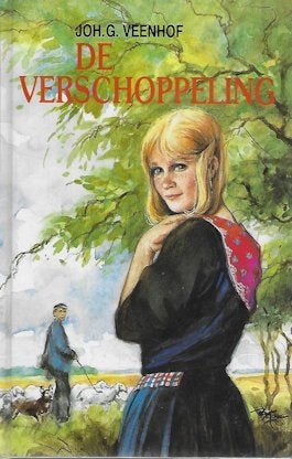 Joh.G. Veenhof: diverse boeken van deze auteur (1), Ophalen of Verzenden, Gelezen