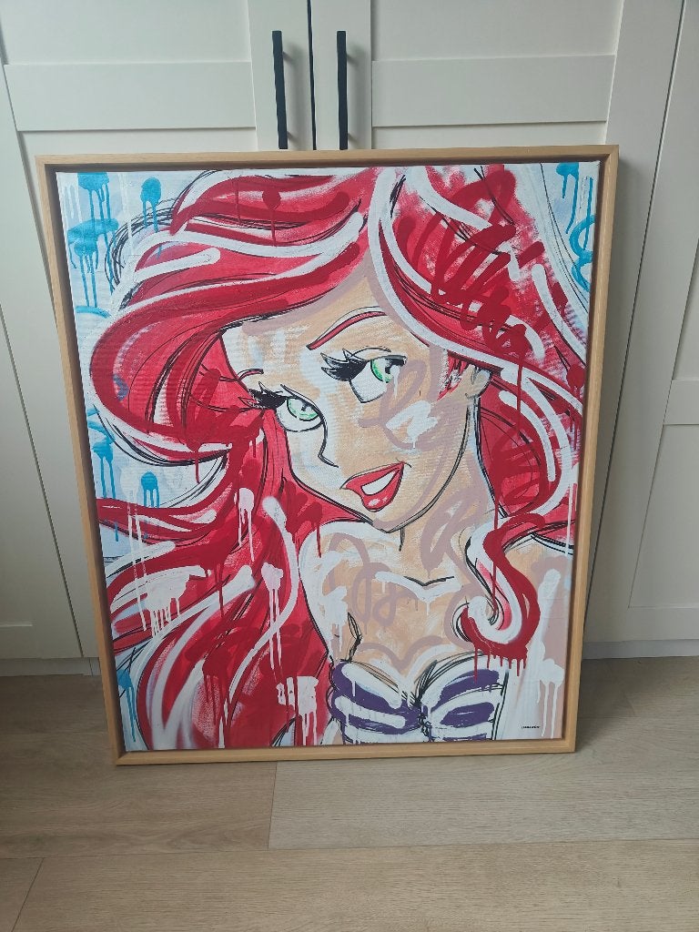 Schilderij Harleen - de kleine zeemeermin, Ophalen, Pocahontas of Kl. Zeemeermin, Zo goed als nieuw, Overige typen
