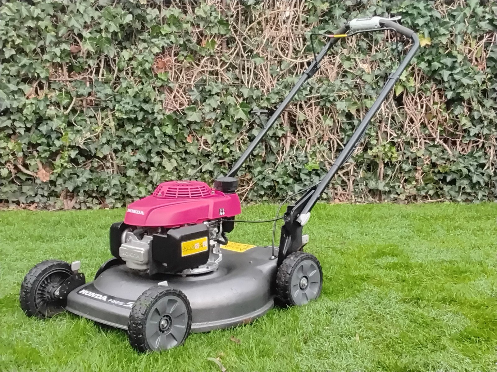 HONDA HRX 536C MULCHMAAIER MAAIBREEDTE 53 CM, Ophalen, 50 cm of meer