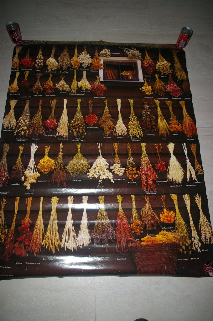 Posters met bloemen, Ophalen of Verzenden, Nieuw, A1 t/m A3, Dier of Natuur