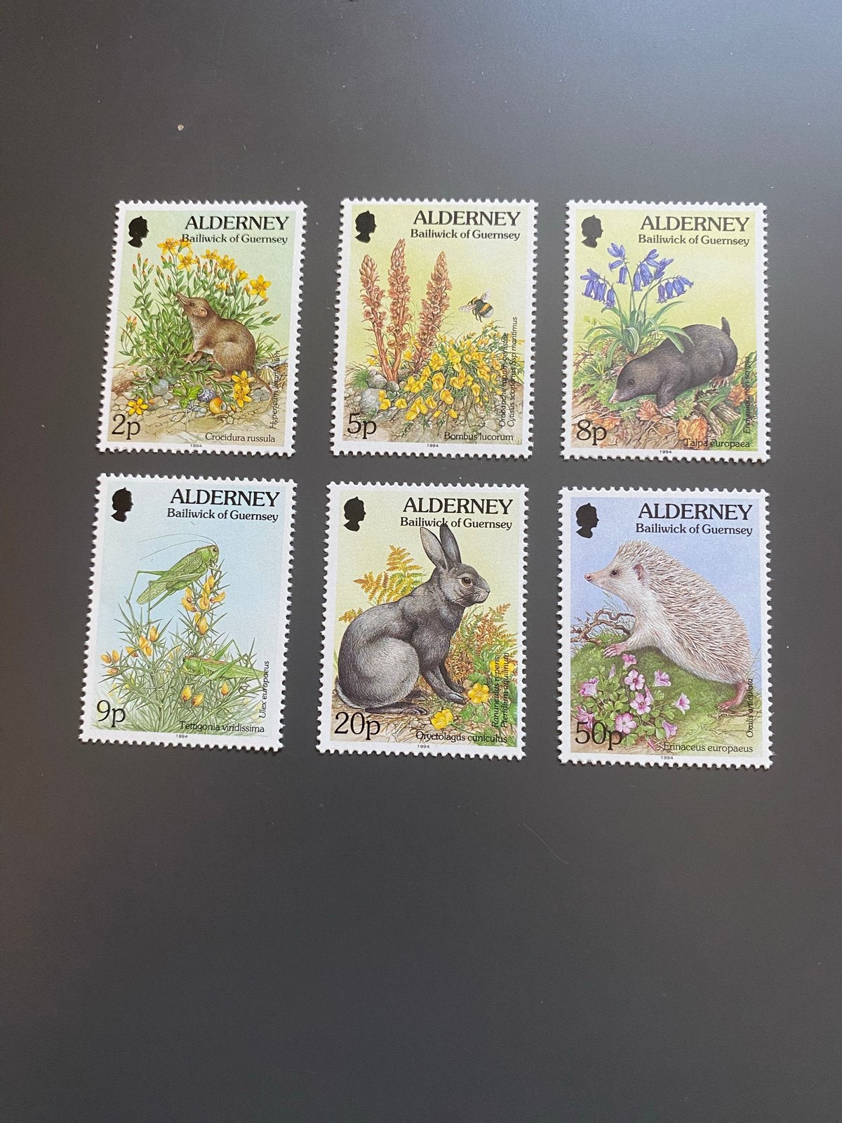 6 postzegels Alderney 1994 postfris - Dieren en insecten, Postzegels en Munten, Ophalen of Verzenden, Overige landen, Postfris