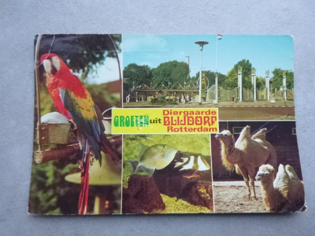 Rotterdam, Diergaarde Blijdorp, Verzenden, 1980 tot heden, Gelopen, Zuid-Holland