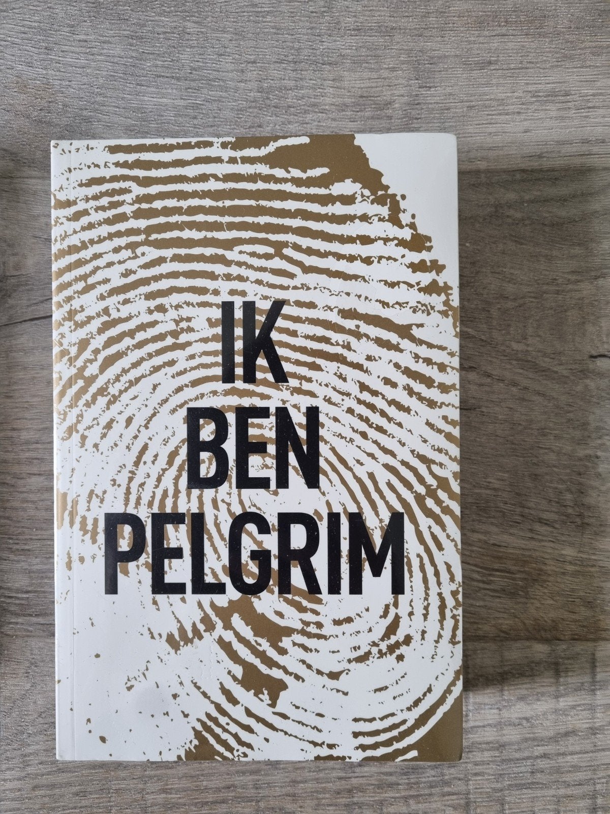 Ik Ben Pelgrim - Nieuw in verpakking, Ophalen of Verzenden, Nieuw, Terry Hayes, Nederland
