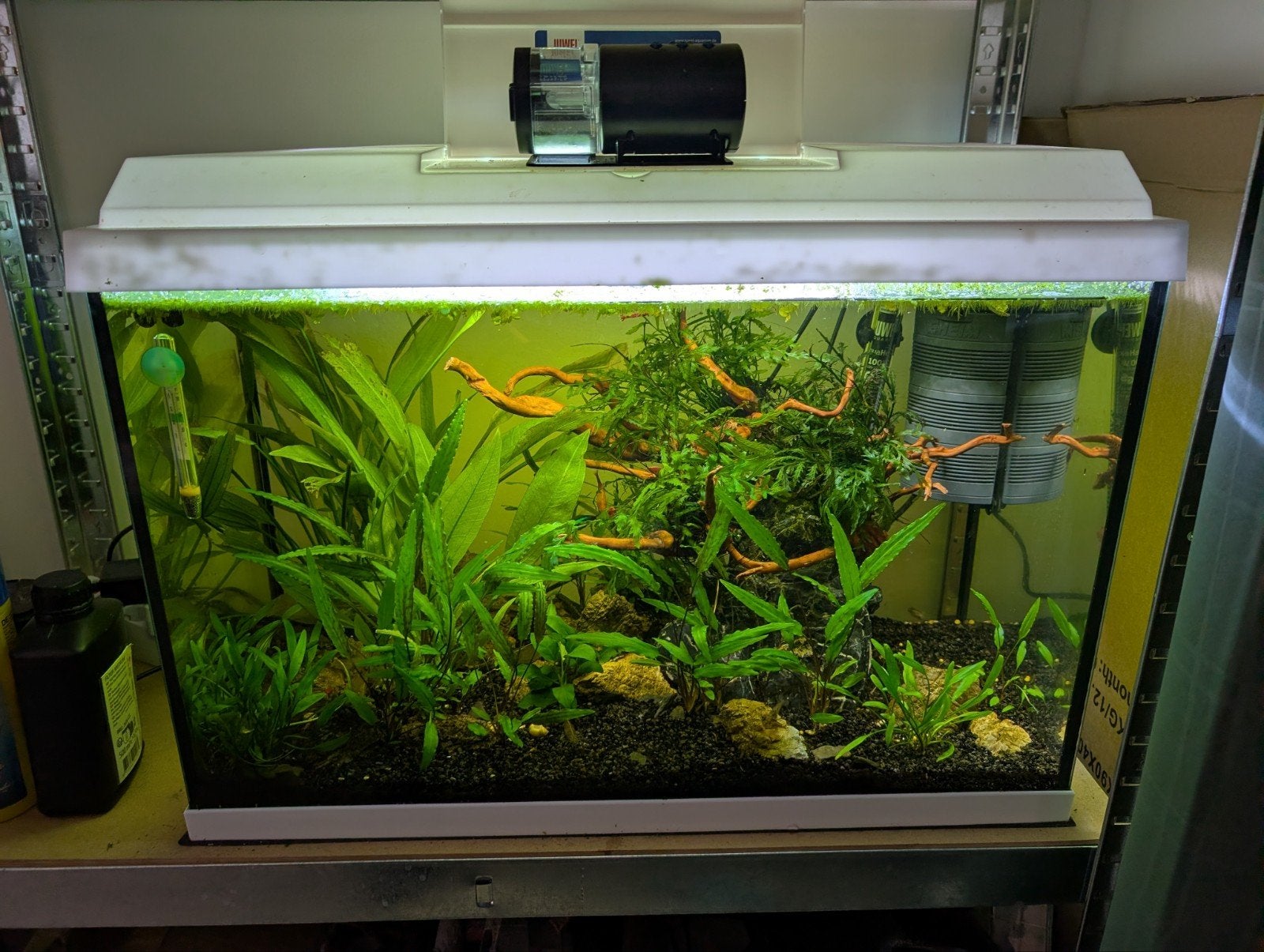 Juwel primo 70 liter aquarium met of zonder inhoud, Ophalen, Gebruikt, Gevuld zoetwateraquarium, Inclusief vissen
