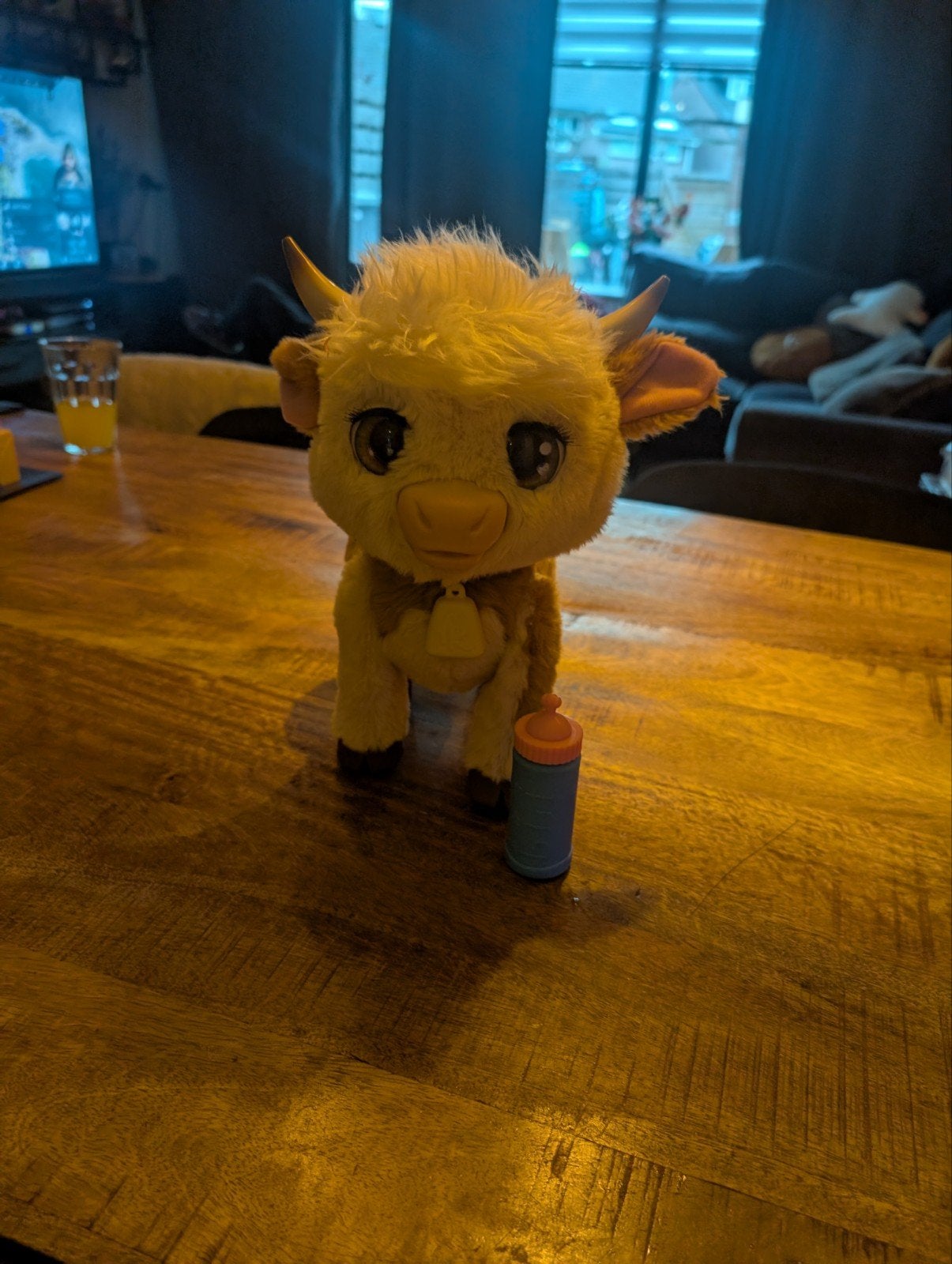 furreal Maggie de koe, Ophalen, Koe