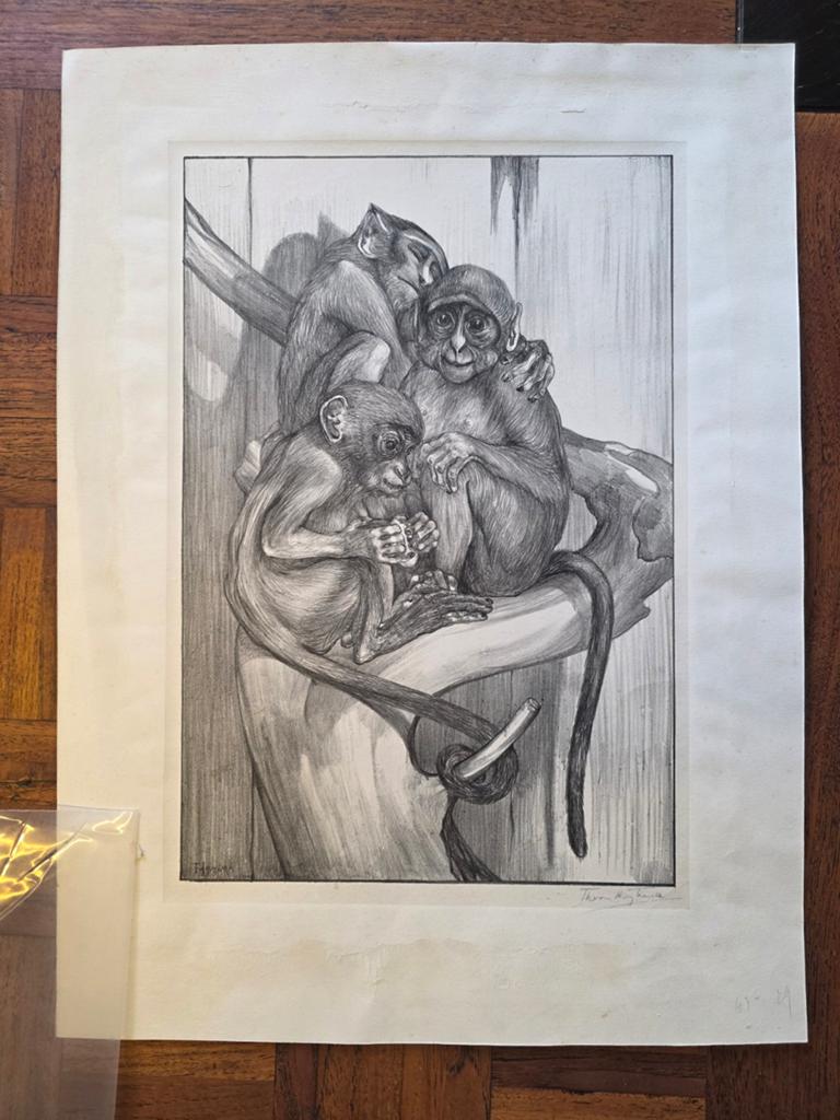 Theo van Hoytema - 3 aapjes, gesigneerde lithografie, 1800 - 1899, Origineel, 56 cm, 42 cm