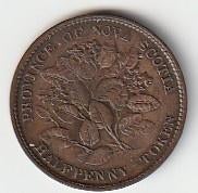 1/2  penny  Nova Scotia  1856, Ophalen of Verzenden, Noord-Amerika, Losse munt