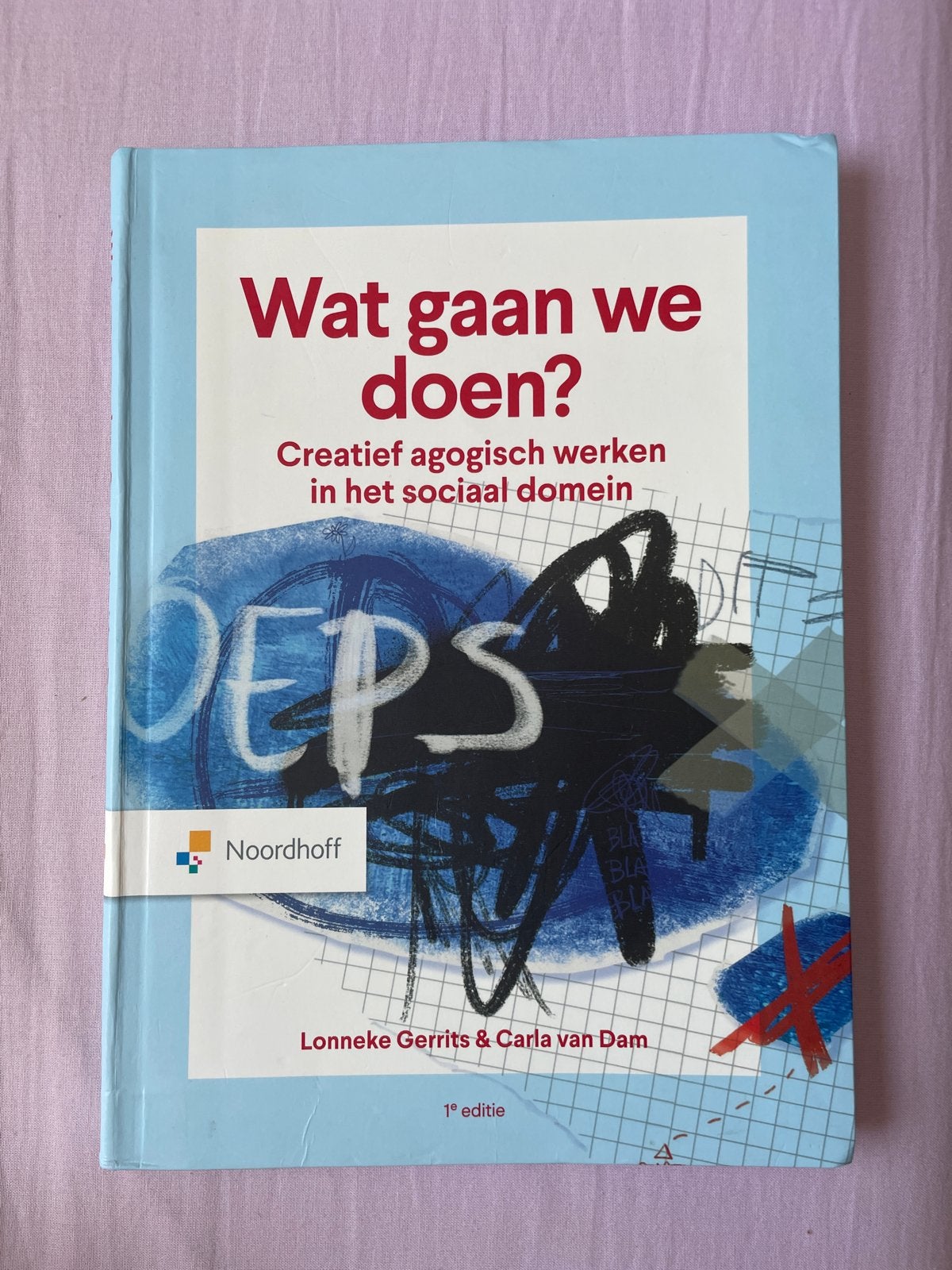 Wat gaan we doen?Creatief agogisch werken  - Lonneke Gerrits, Boeken, Ophalen of Verzenden, Gamma, Zo goed als nieuw, HBO