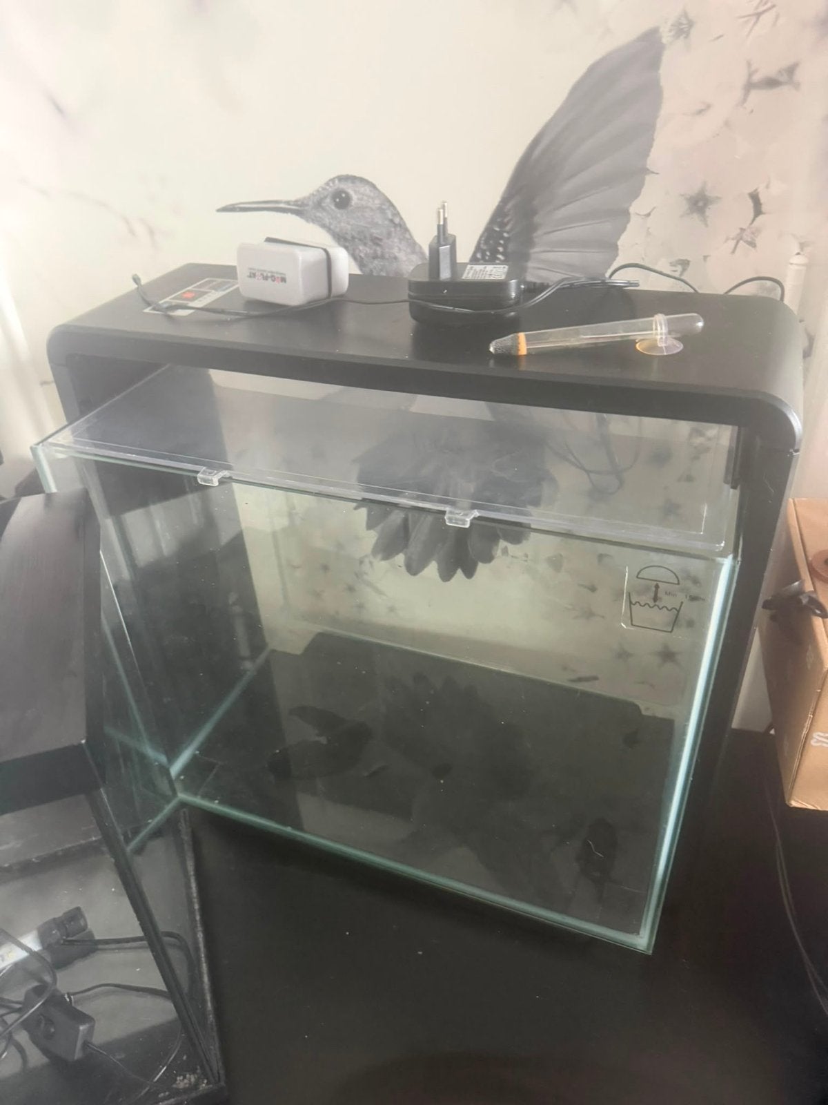 Aquarium(s), Ophalen, Zo goed als nieuw, Leeg aquarium