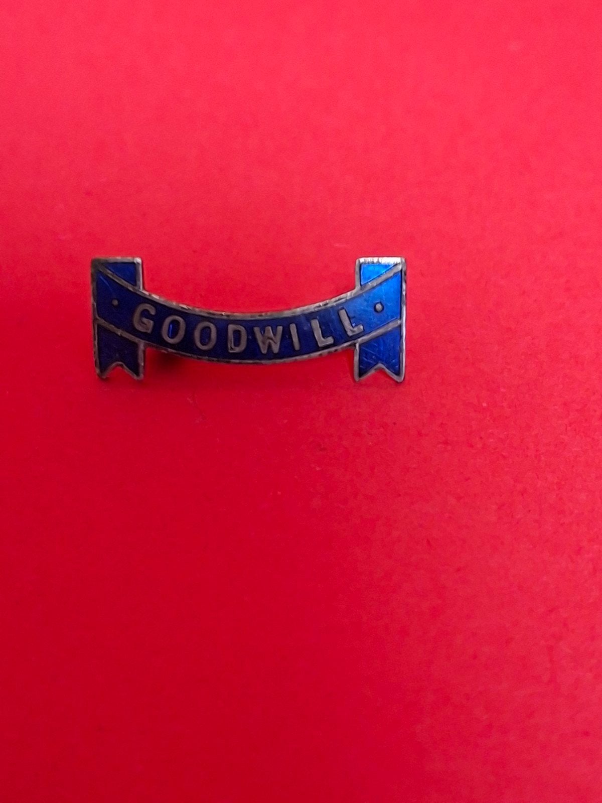 Mooi emaille speldje GOODWILL, Ophalen of Verzenden, Gebruikt, Overige onderwerpen