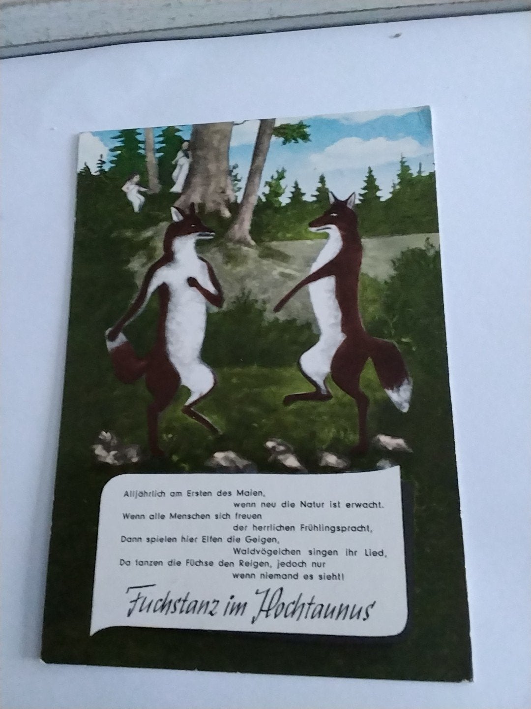 FUCHSTANZ IM HOCHTAUNUS, Ophalen of Verzenden