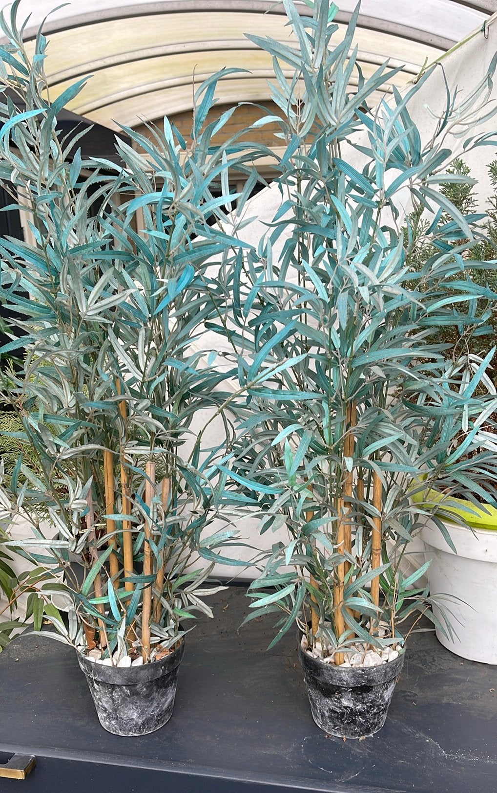 2 kunstof planten, Ophalen