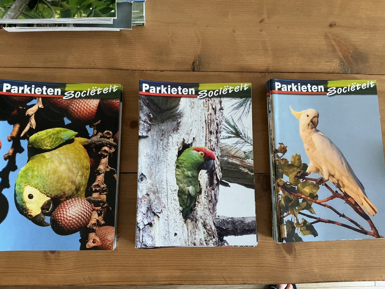 Collectie maandblad Parkieten Sociëteit, Ophalen of Verzenden, Zo goed als nieuw