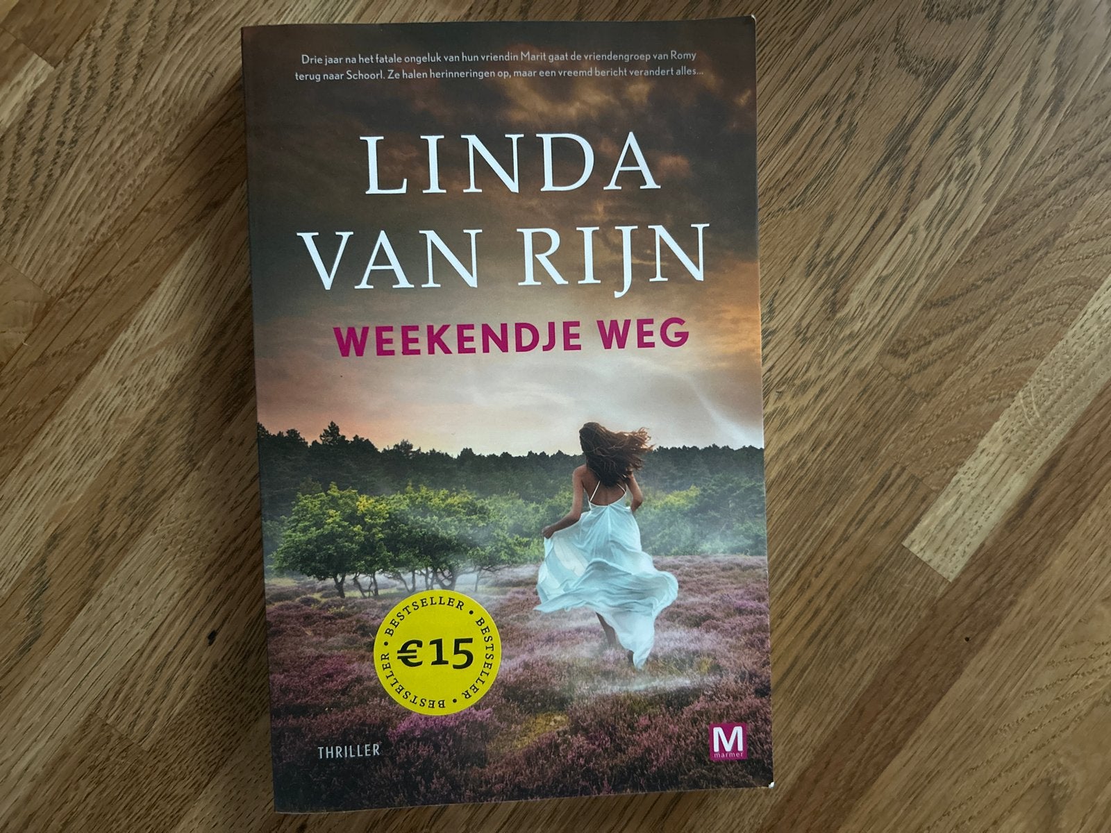 Linda van Rijn - Weekendje Weg (Thriller), Ophalen of Verzenden, Zo goed als nieuw, Nederland