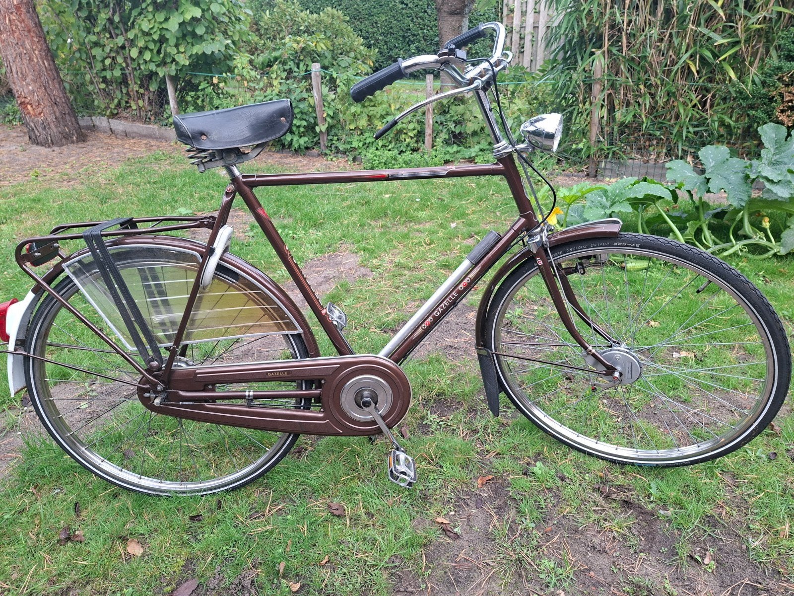 gazelle populair, 59 cm of meer, Ophalen