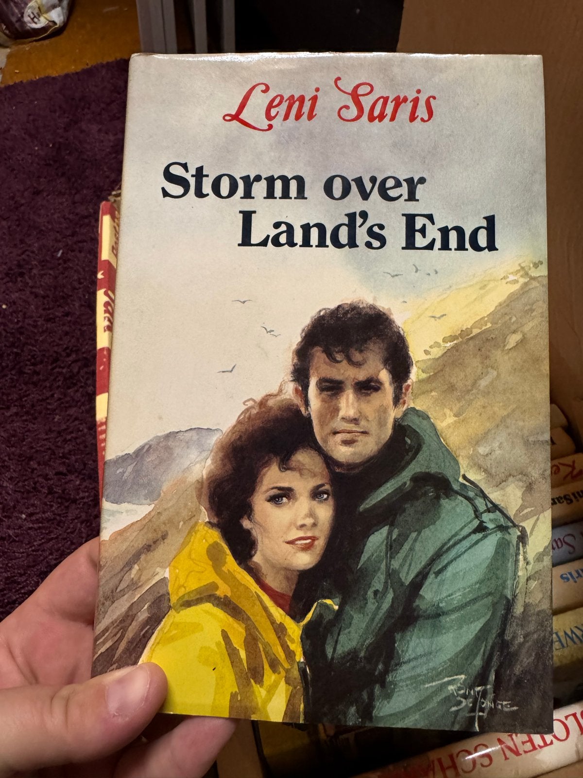 Storm over Land's End - Leni Saris, Verzenden, Gelezen, Nederland