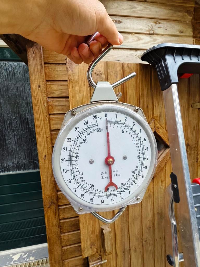 Hangweegschaal tot 25 kg, Ophalen of Verzenden