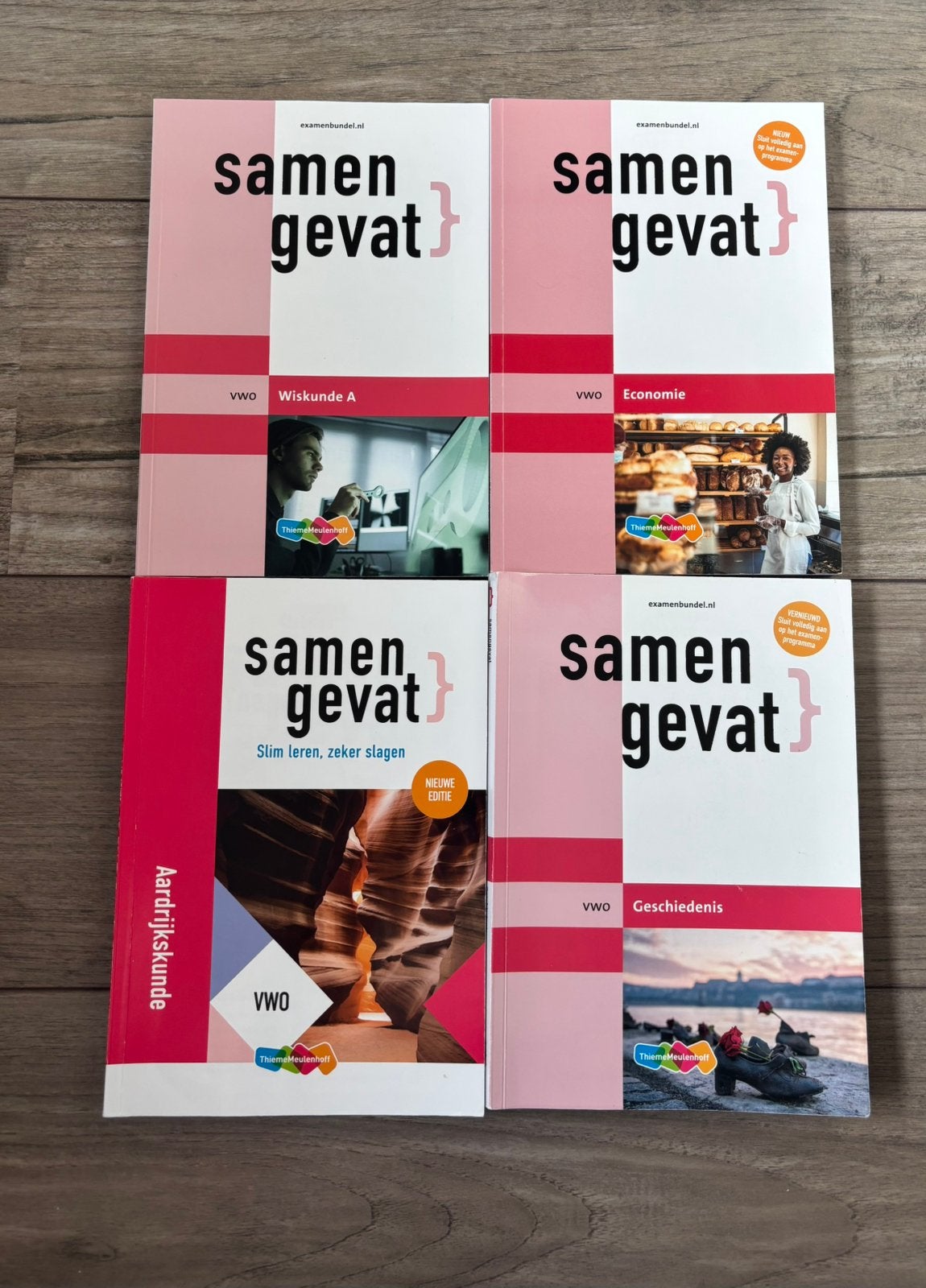 Samengevat VWO boeken, Boeken, Schoolboeken, Ophalen of Verzenden, Zo goed als nieuw, VWO