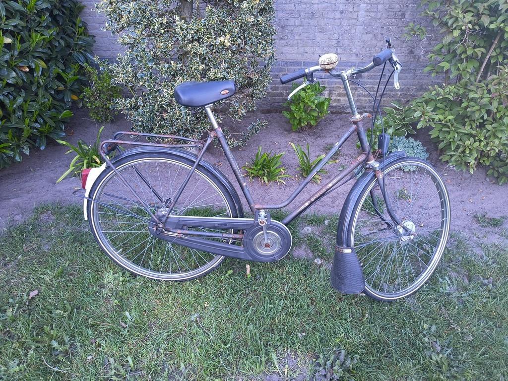 GAZELLE, Fietsen en Brommers, Fietsen | Dames | Damesfietsen, Gebruikt, Gazelle, Versnellingen, 53 tot 56 cm, Trommelrem, Ophalen