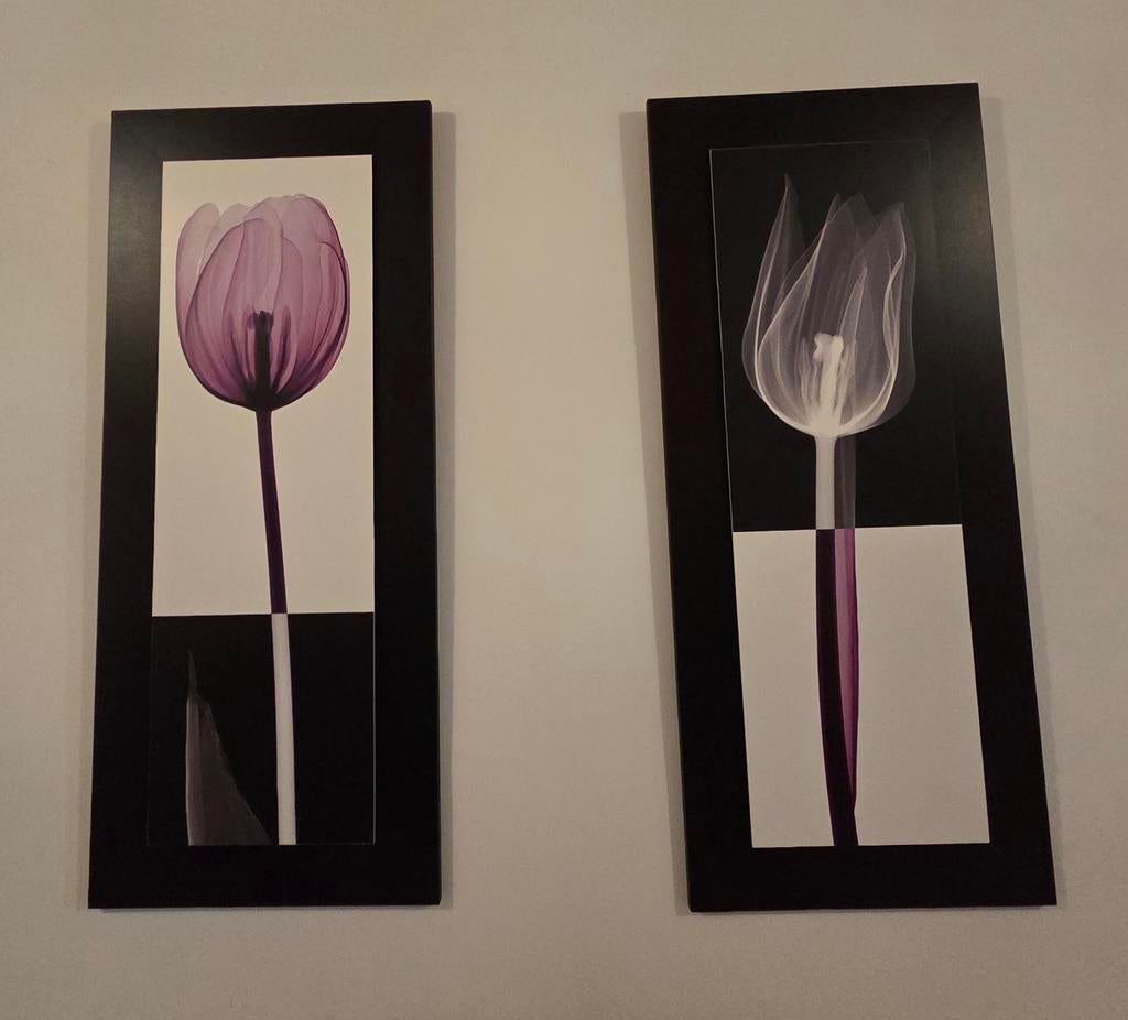 Schilderijen, Ophalen, Minder dan 50 cm, Schilderij, Minder dan 50 cm