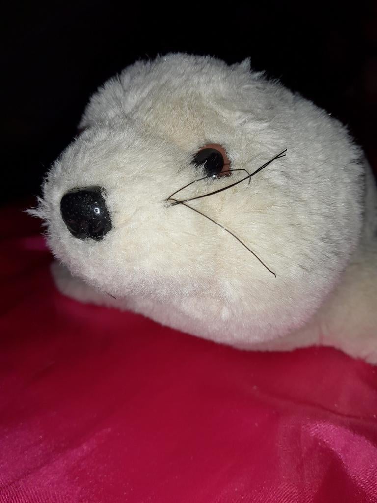 Lieve zeehond zoekt nieuw maatje, Ophalen of Verzenden, Gebruikt, Overige typen