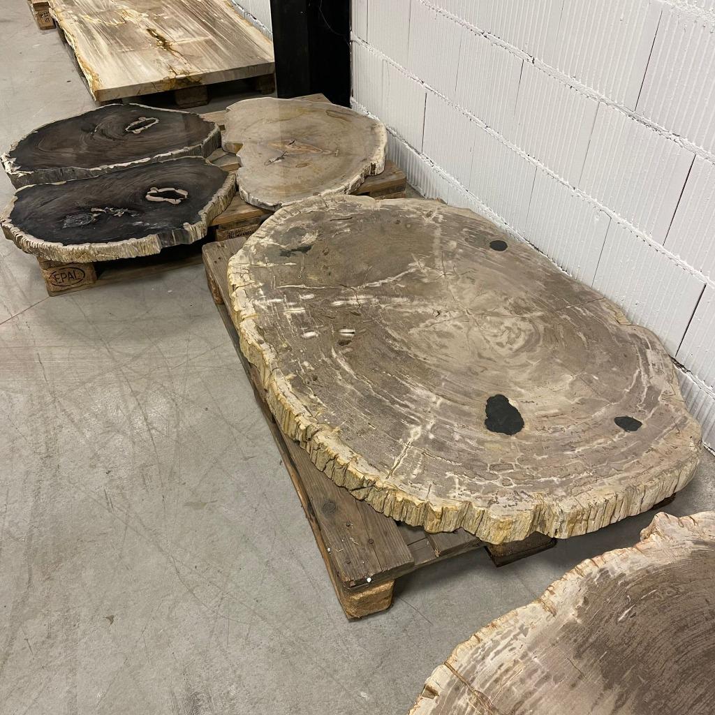 Salontafel Versteend hout - Goedkoopste van de Benelux!, Nieuw, Minder dan 50 cm, Rechthoekig, 50 tot 100 cm