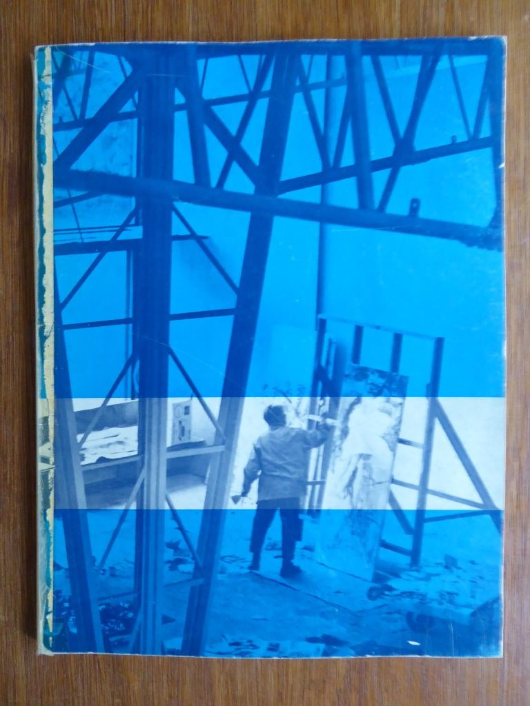 Willem de Kooning, Boeken, Ophalen of Verzenden, Gelezen, Schilder- en Tekenkunst