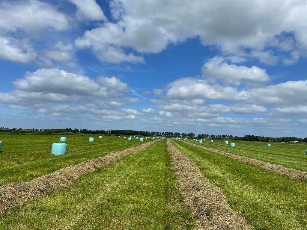 Grasland, gras op stam gezocht, Dieren en Toebehoren, Stalling en Weidegang
