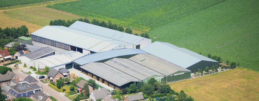 Eiken  balken / Eiken Palen / Eikenhout balken uit VOORRAAD, Ophalen, Eiken, Nieuw, Balk