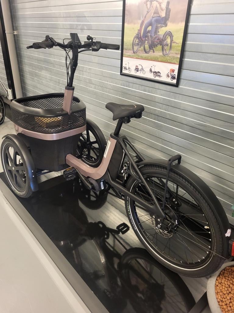 VanRaam Thuja Driewielfiets Comfortabel en veilig!, Ophalen of Verzenden, Nieuw, Thuja