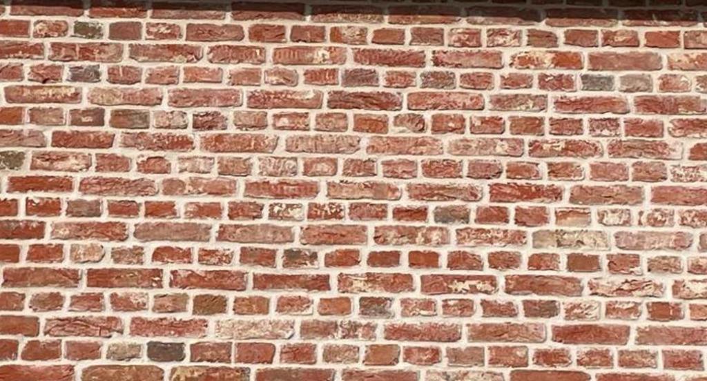 Antieke rode en zwarte handvorm steen 50.000stuks /18x5x9cm, Ophalen, Gebruikt, Bakstenen, Info@walstra.nl