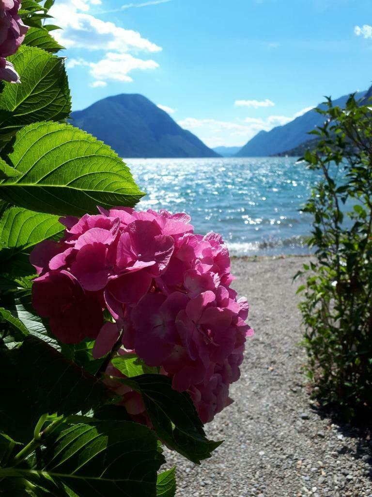 Heerlijke vakantie aan Meer van Lugano Italië, Vakantie, Vakantiehuizen | Italië, 2 slaapkamers, Tv, Lombardije en Merengebied