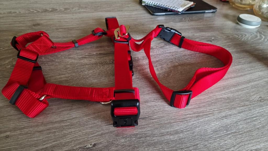 Tuig(anti ontsnappingstuig)  Hunter is het merk., Ophalen of Verzenden, Nieuw