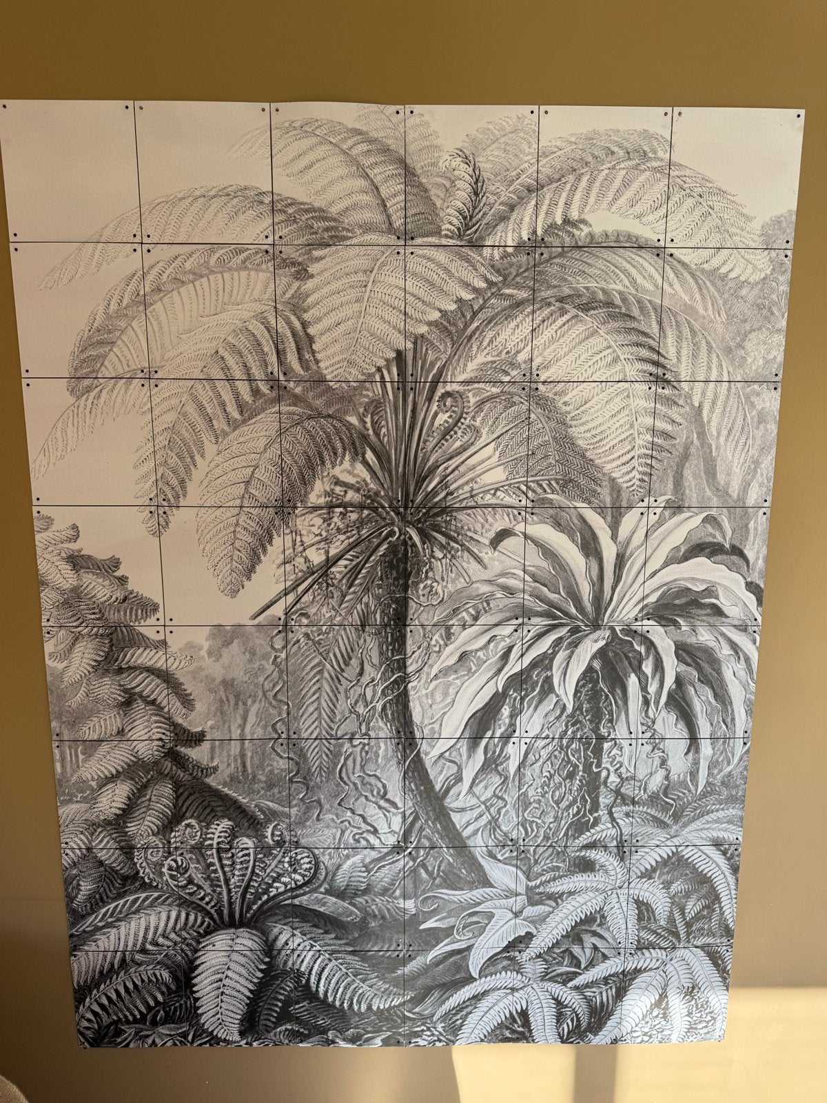 IXXI Ferns Jungle 120x160 cm muurdecoratie, Gebruikt, Zwart, Ophalen of Verzenden, 160 cm