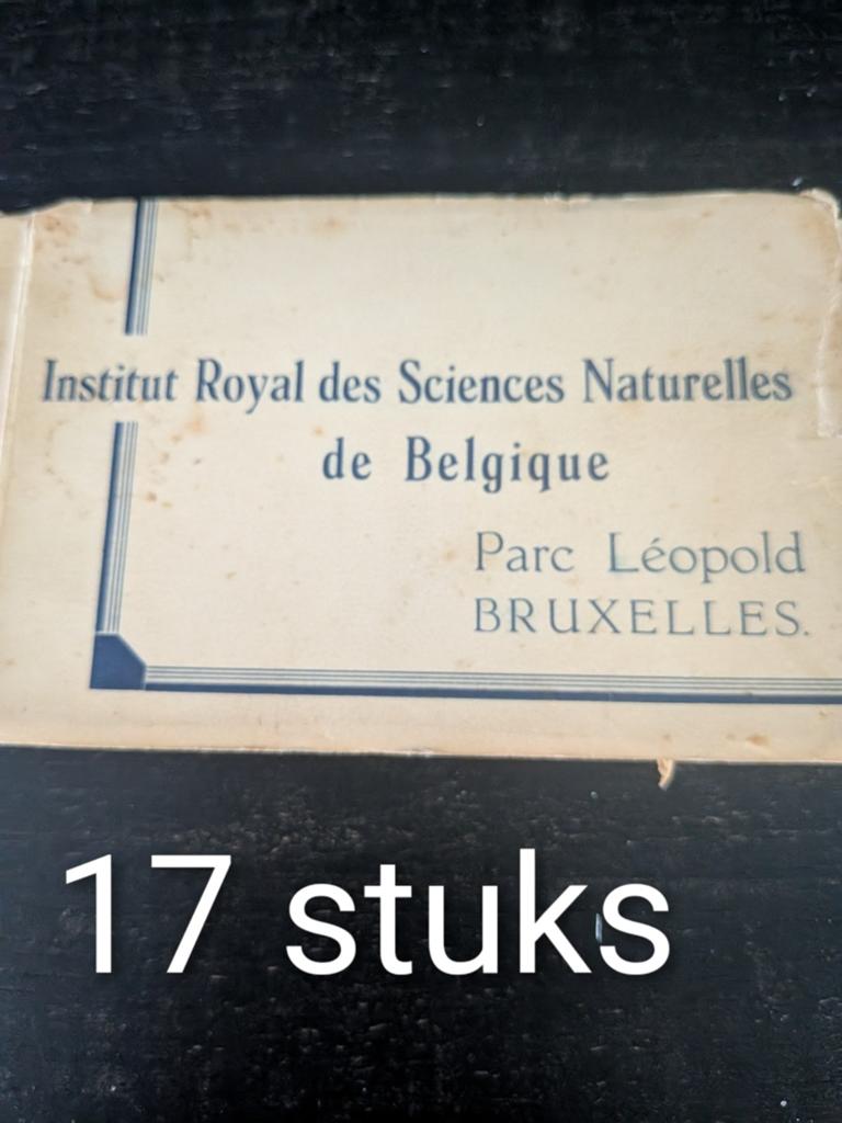 Oude prenten brussel parc Leopold, Natuur, Nieuw, Ophalen of Verzenden, Voor 1940